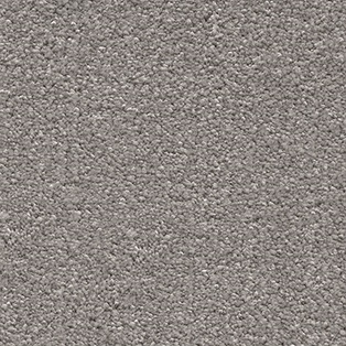 Image alt tag